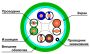 Кабель витая пара экранированный ЛЮ-КСО-5e.4.Ф10ВВ/FRLSLTx.16К3, внутренний, огнестойкий Кабель витая пара экранированный ЛЮ-КСО-5e.4.Ф10ВВ/FRLSLTx.16К3, внутренний, огнестойкий