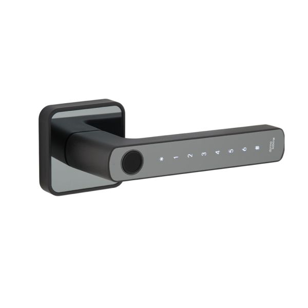 Биометрическая цифровой замок dormakaba Rose, черный