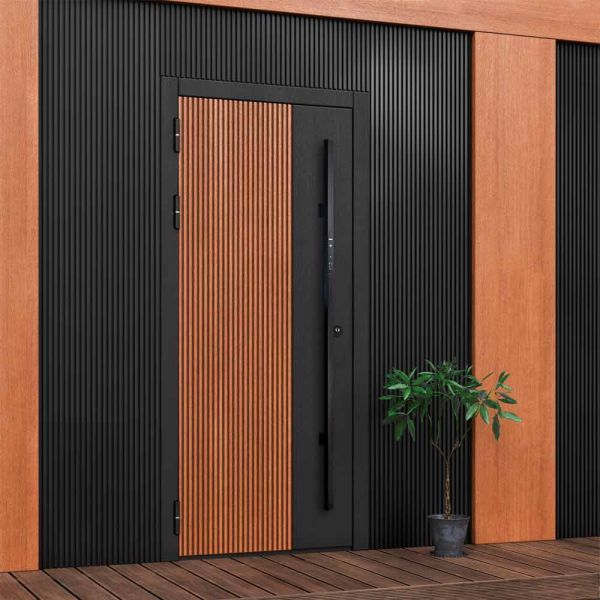 Электронный биометрический замок Sanyo D500 Tuya с видеонаблюдением, ручка-штанга Электронный биометрический замок Sanyo D500 Tuya с видеонаблюдением, ручка-штанга