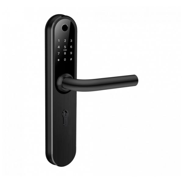 Электронный биометрический замок Novilock Home Plus v.4240 black, под DIN цилиндр,IP55 Электронный биометрический замок Novilock Home Plus v.4240 black, под DIN цилиндр,IP55