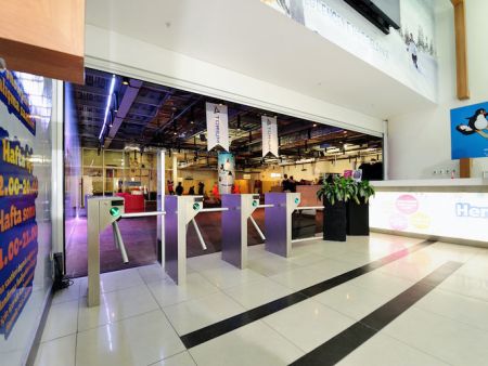 Турникет-трипод моторизованный Came Stile 500 (с планками антипаника) (PSMM500E-02)