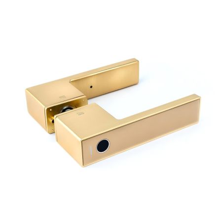 Электронный биометрический замок-ручка Gimmel F11 TTLock с отпечатком пальца Электронный биометрический замок-ручка Gimmel F11 TTLock с отпечатком пальца